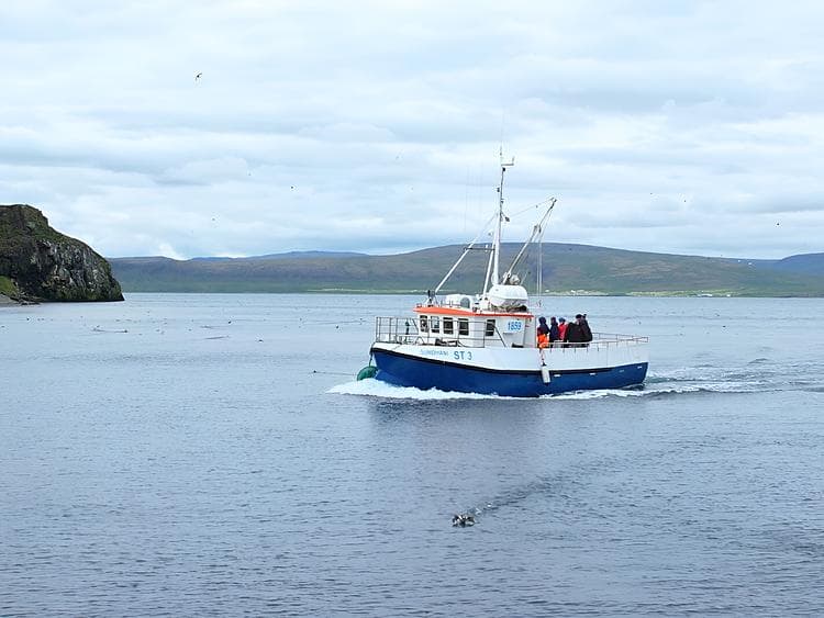 One Night Stay with Sailing to Grímsey